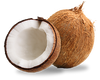 Coconuts